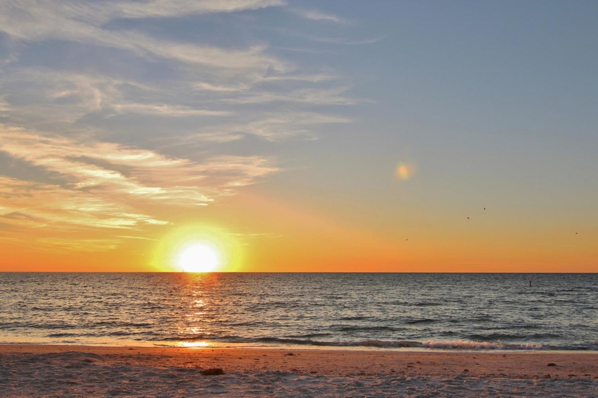 The Intercoastal 210 Clearwater Beach Exterior foto